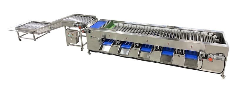 images/1710230151619pepinos de frutas.jpg